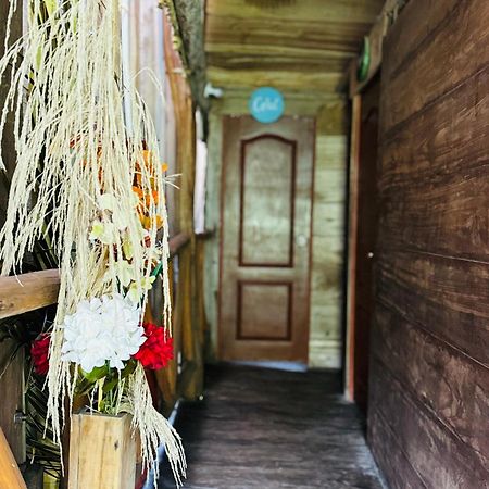 Palmario Hostal Guachaca المظهر الخارجي الصورة