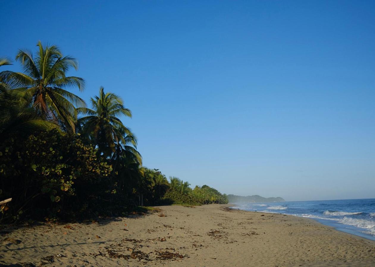 Palmario Hostal Guachaca المظهر الخارجي الصورة
