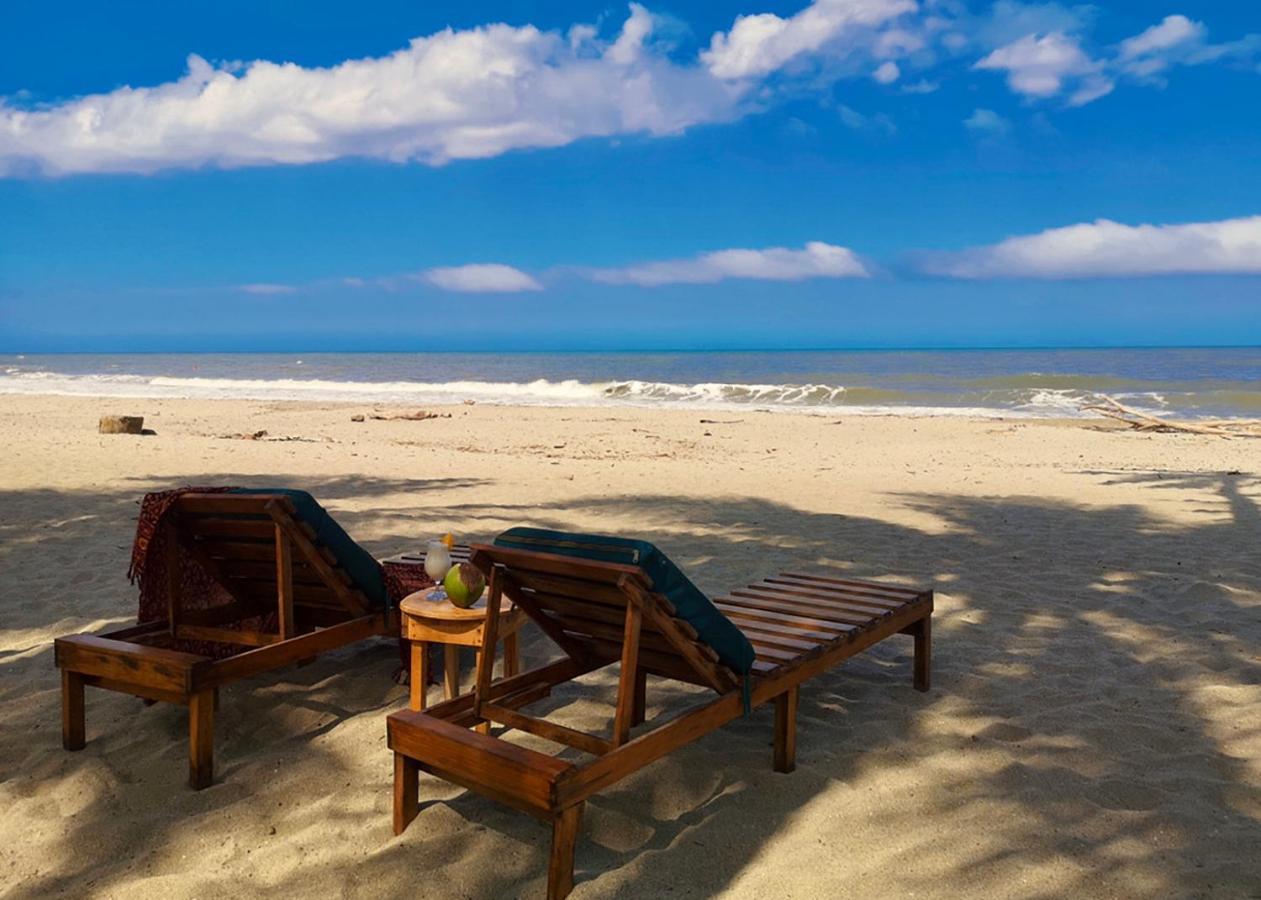 Palmario Hostal Guachaca المظهر الخارجي الصورة