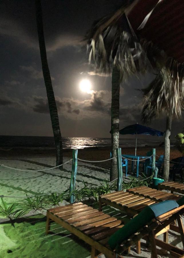 Palmario Hostal Guachaca المظهر الخارجي الصورة