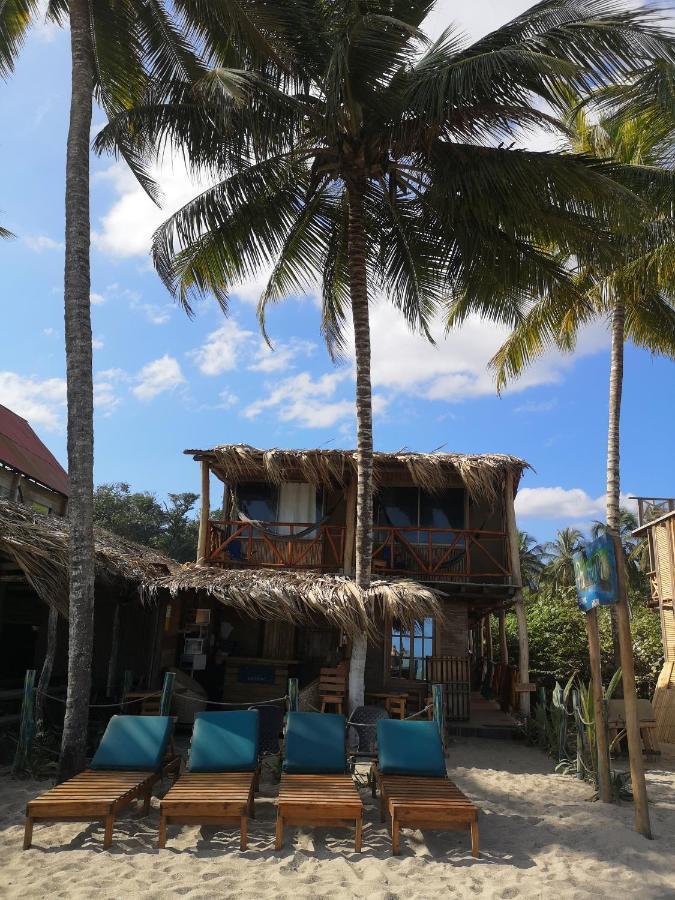 Palmario Hostal Guachaca المظهر الخارجي الصورة