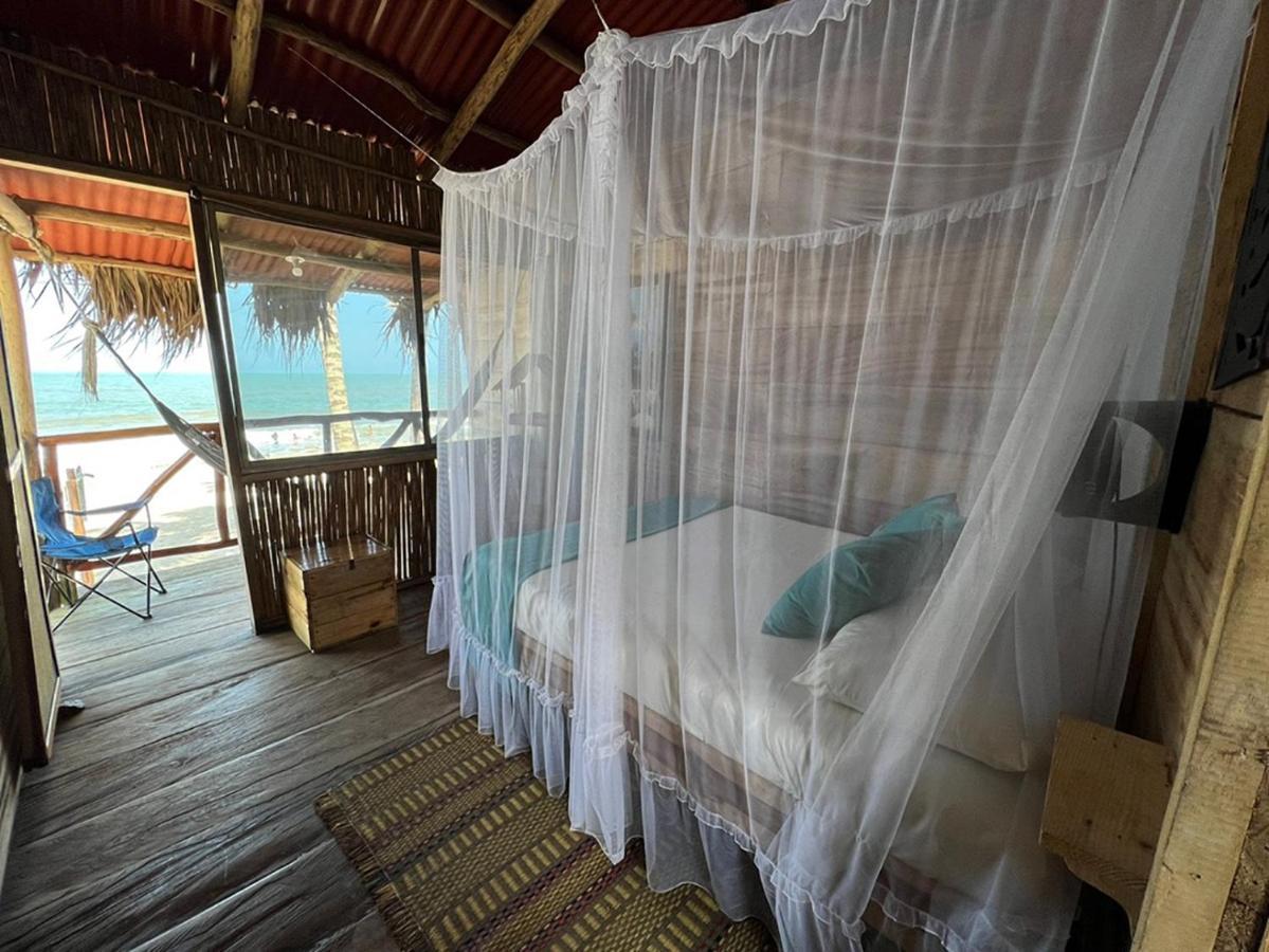 Palmario Hostal Guachaca المظهر الخارجي الصورة