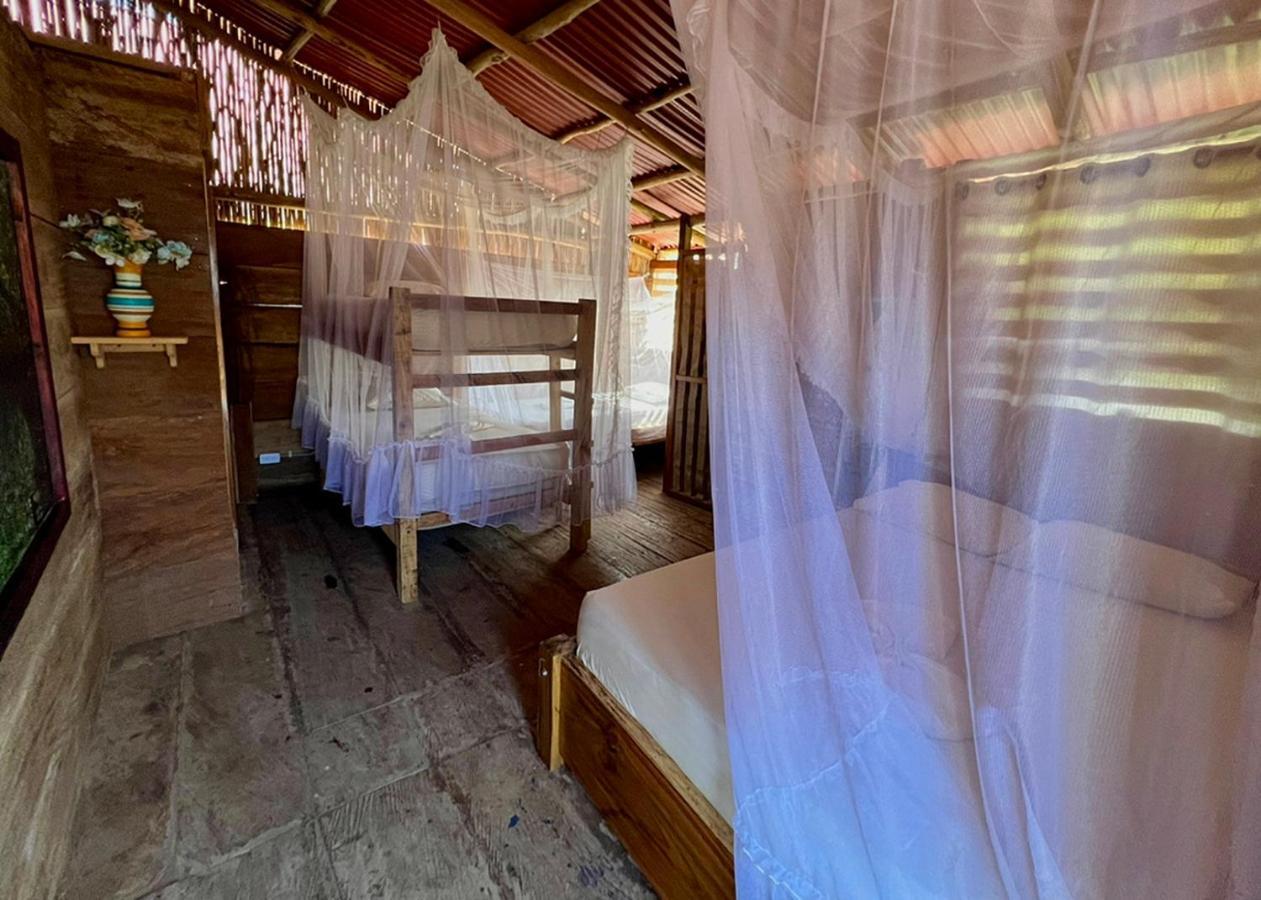 Palmario Hostal Guachaca المظهر الخارجي الصورة