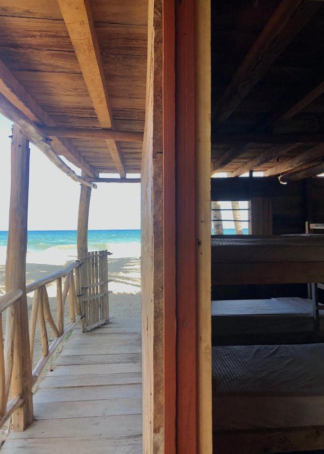 Palmario Hostal Guachaca المظهر الخارجي الصورة