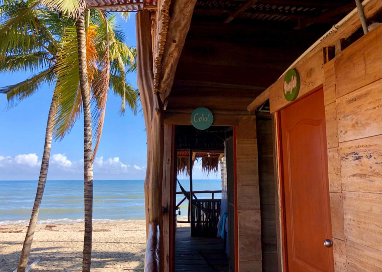 Palmario Hostal Guachaca المظهر الخارجي الصورة