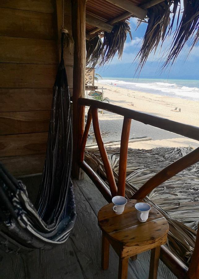Palmario Hostal Guachaca المظهر الخارجي الصورة