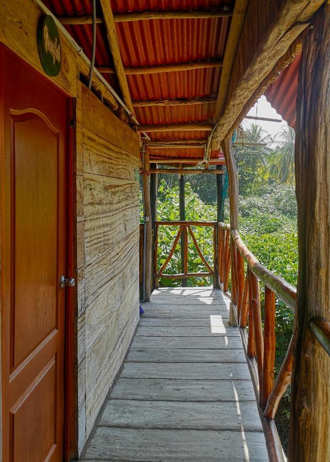 Palmario Hostal Guachaca المظهر الخارجي الصورة