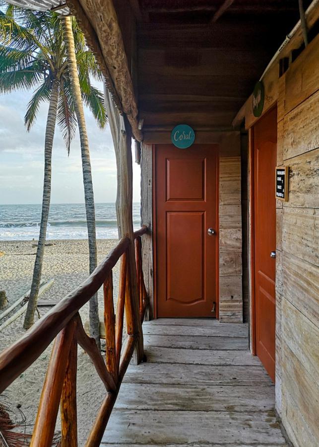 Palmario Hostal Guachaca المظهر الخارجي الصورة