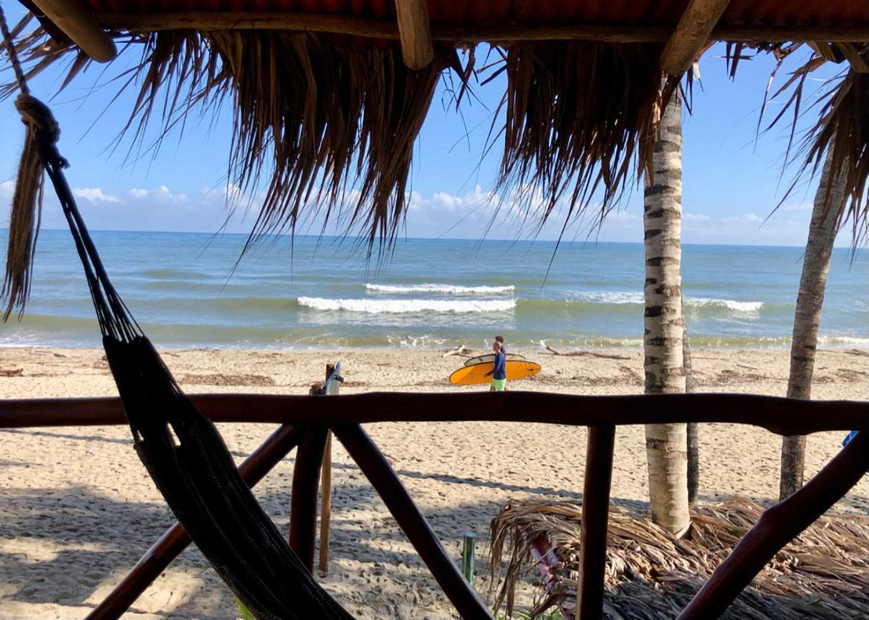 Palmario Hostal Guachaca المظهر الخارجي الصورة