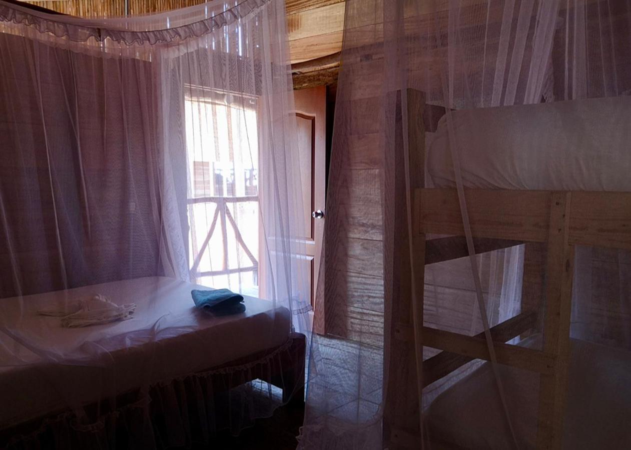 Palmario Hostal Guachaca المظهر الخارجي الصورة
