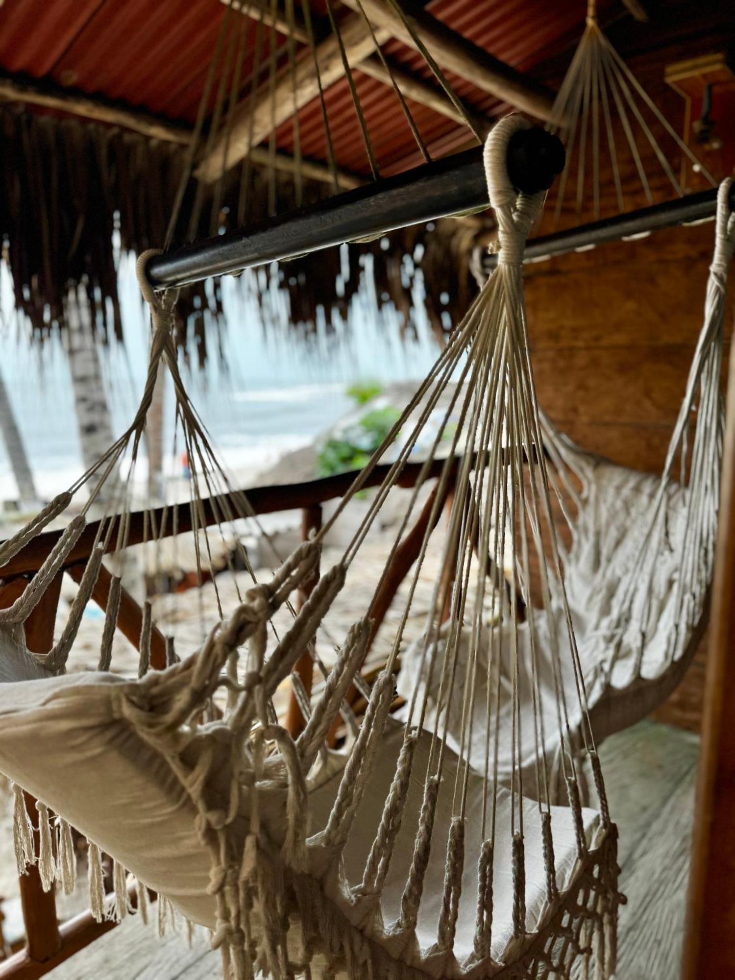 Palmario Hostal Guachaca المظهر الخارجي الصورة