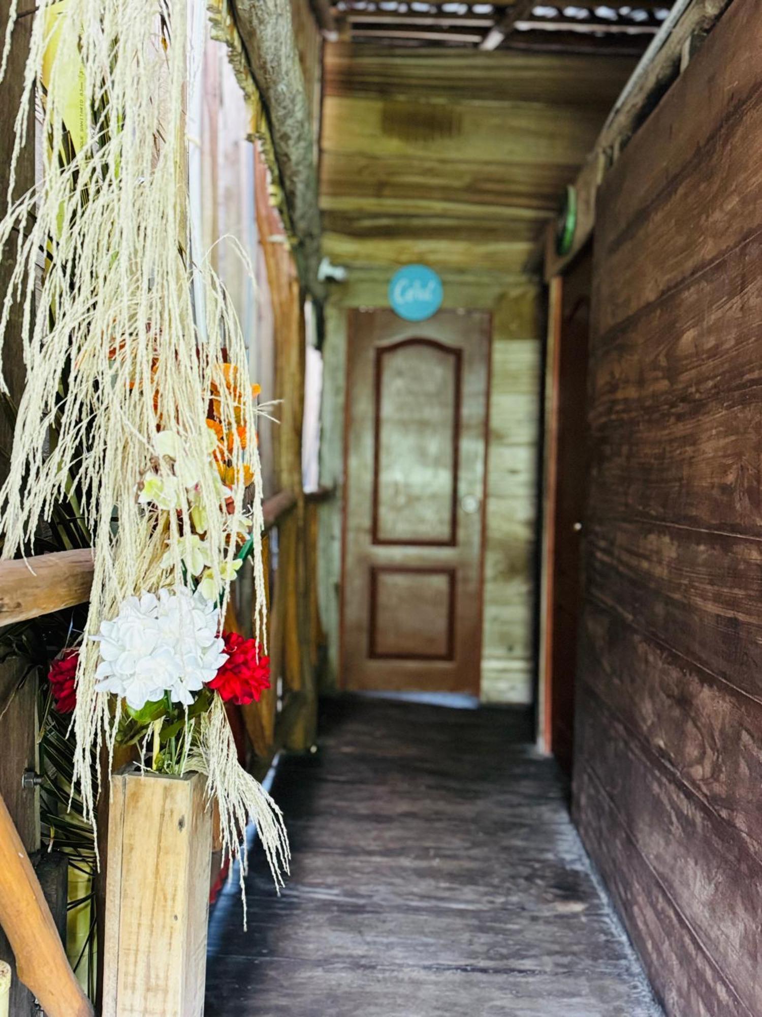 Palmario Hostal Guachaca المظهر الخارجي الصورة